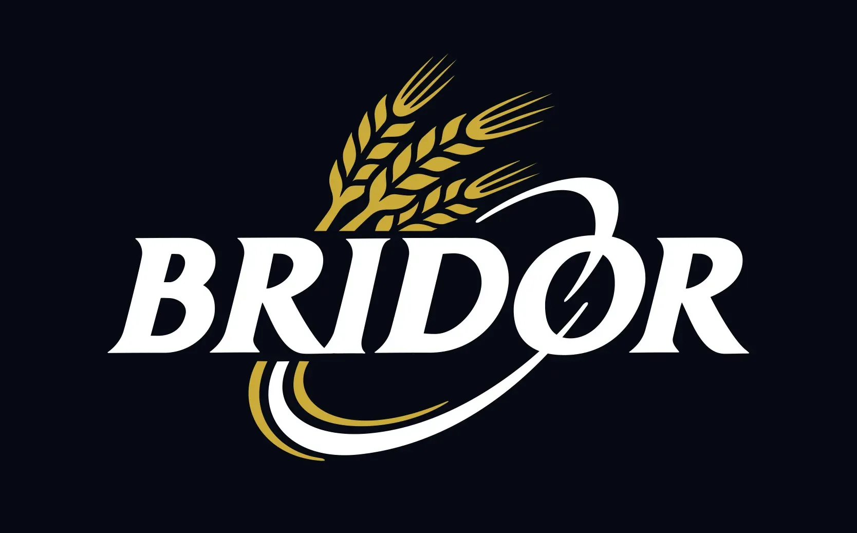 Logo-Bridor