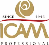 Logo_ICAM_Professional_Quadricromia